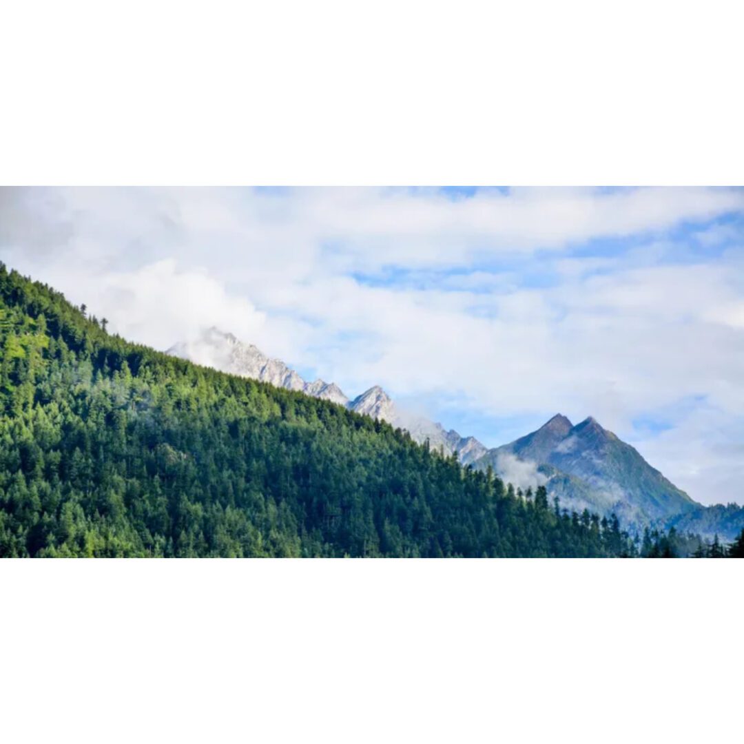 Mountain range with lush green forest.